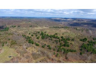 Property photo 31 - LAND AUCTION - 2,596+/- ACRES IN 28 TRACTS IN COSHOCTON & MUSKINGUM COUNTIES, OHIO